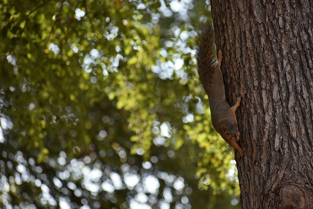 防守和組織 防守和組織